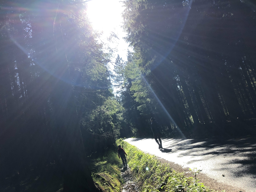 Slunce těsně po dešti