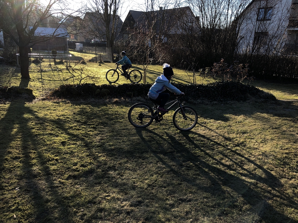 Honička na zahradě