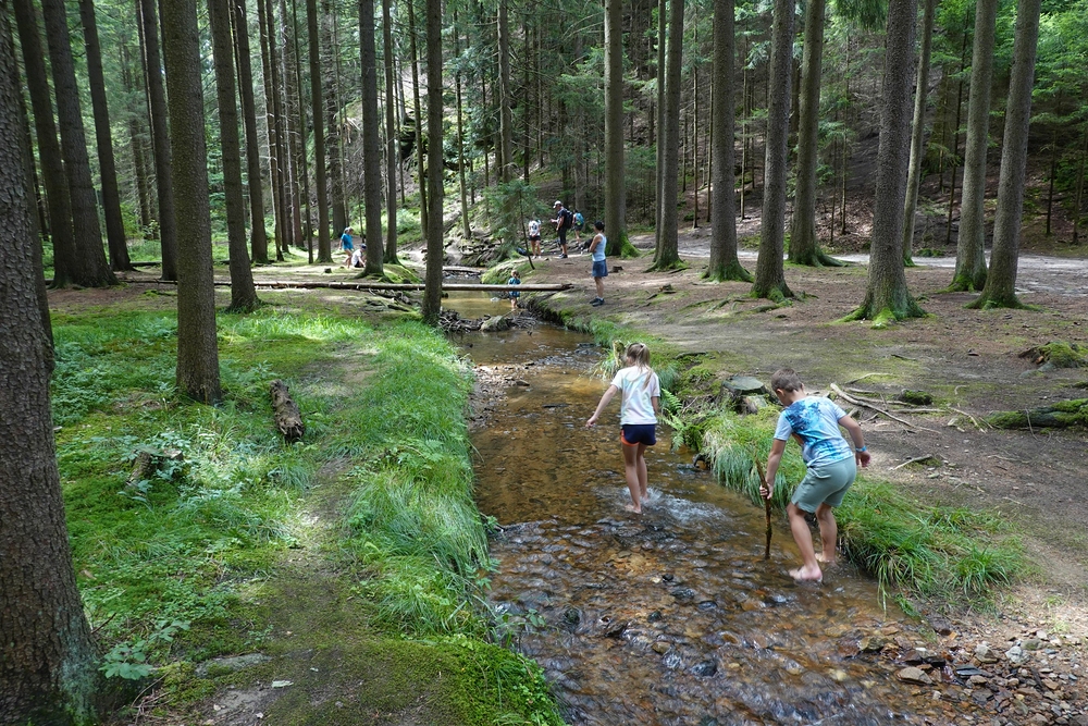 Nemohli jsme je z vody dostat