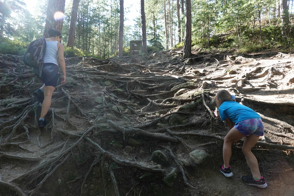 Lezeme zpátky k autu