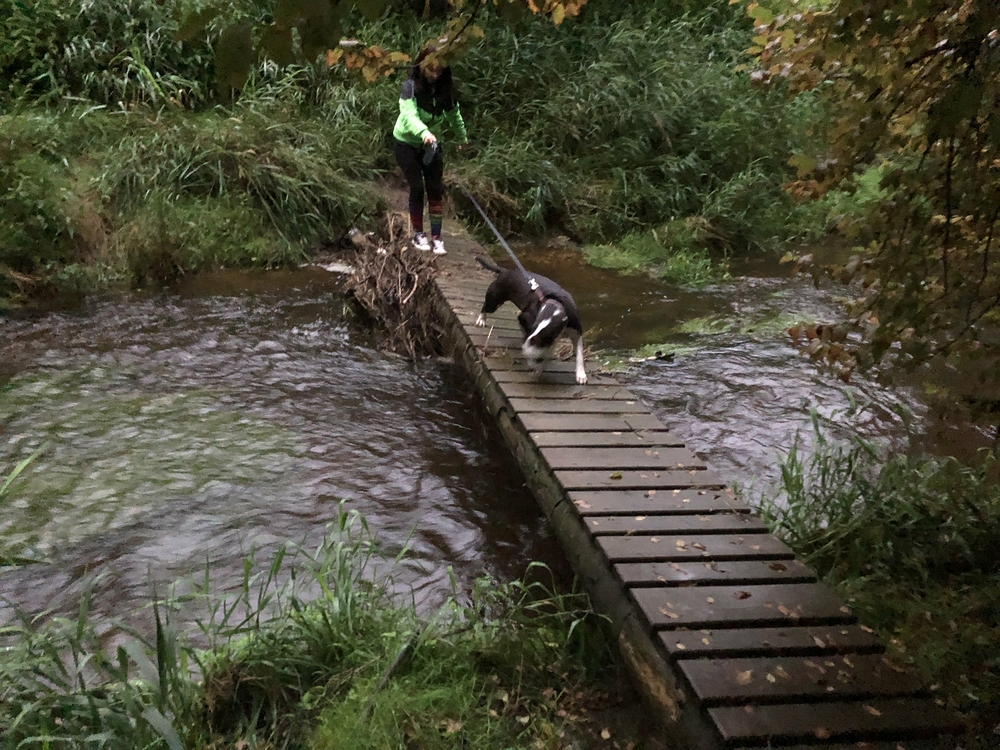 Se ségrou objevujeme nové cesty