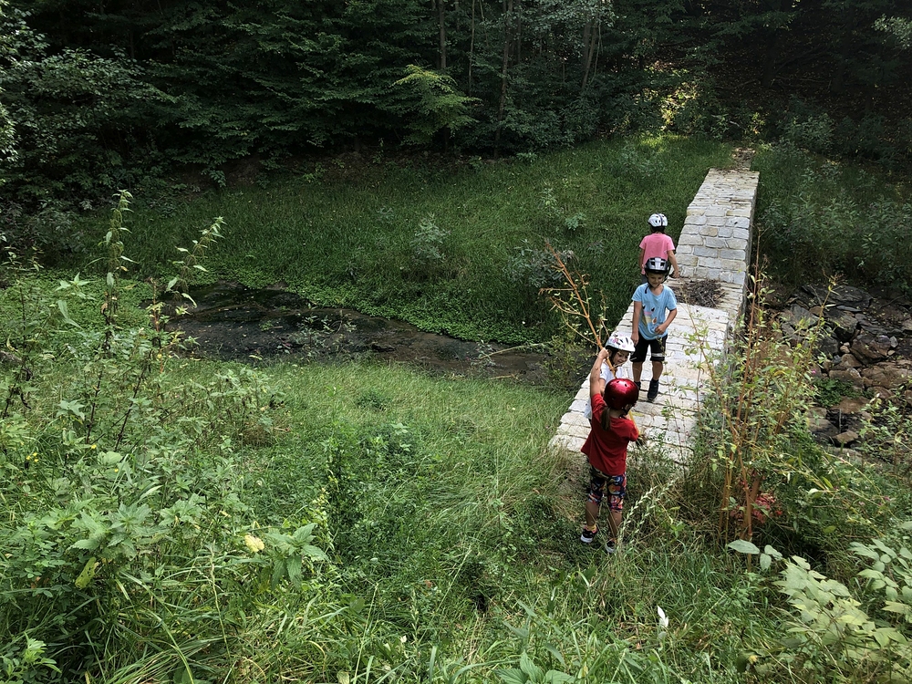 Zábava dětí - házení stromů do bahna