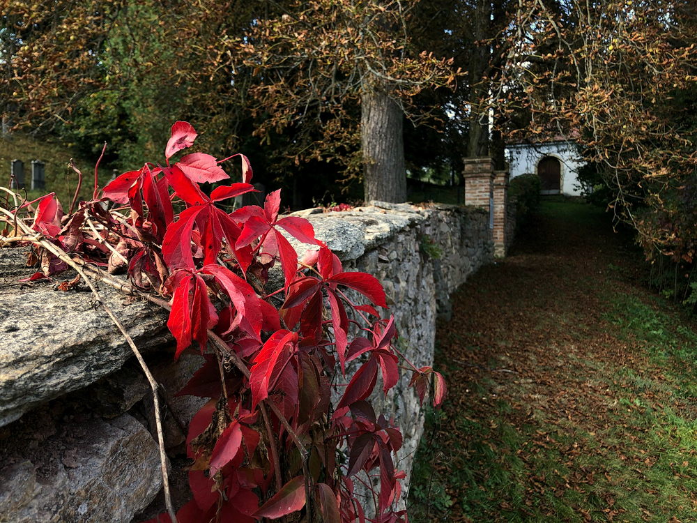 Židovský hřbitov v Lomnici