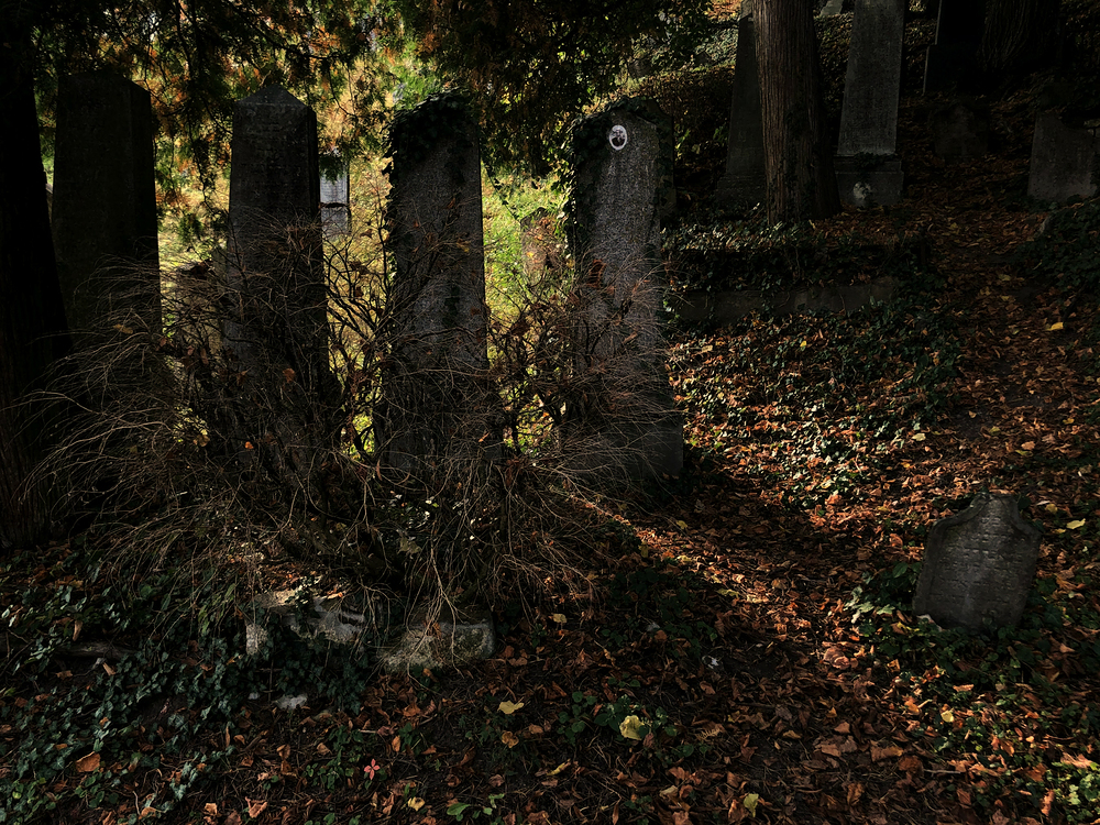 Židovský hřbitov v Lomnici