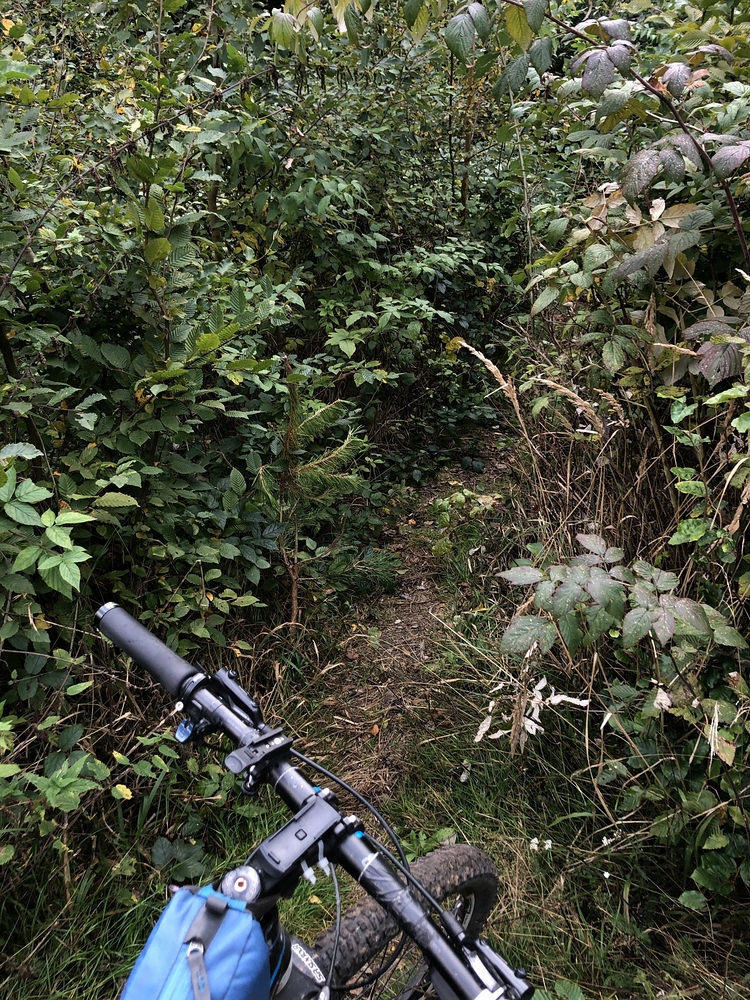 Sjezd do Lomnice po červené z Rašova, dobrá džungle