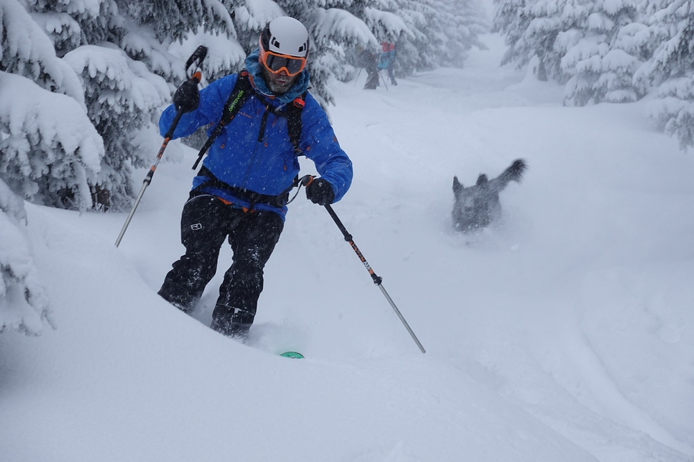 Frčíme dolů tím průsekem nad chatou. Tady Suchárna se psem