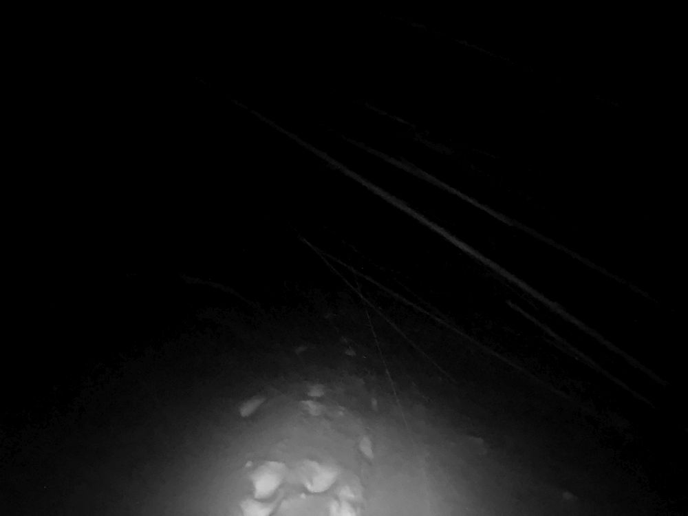 A večer šlapu sám potmě nahoru. Sněží, těžký batoh mě táhne k zemi.