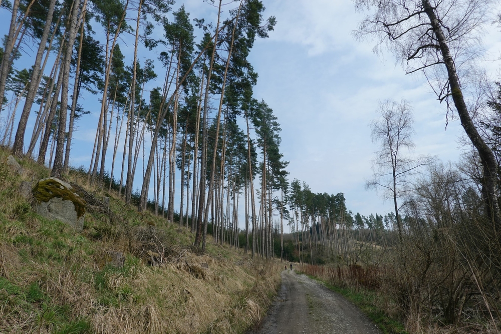 Z Rohů dolů do údolí Oslavy