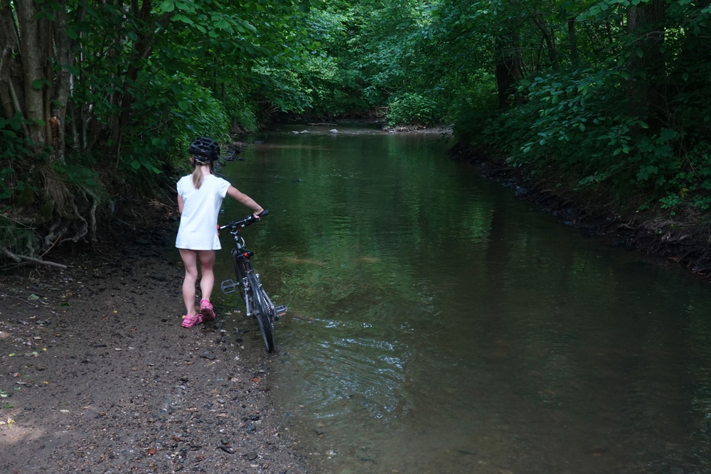 Počáteční nedůvěra