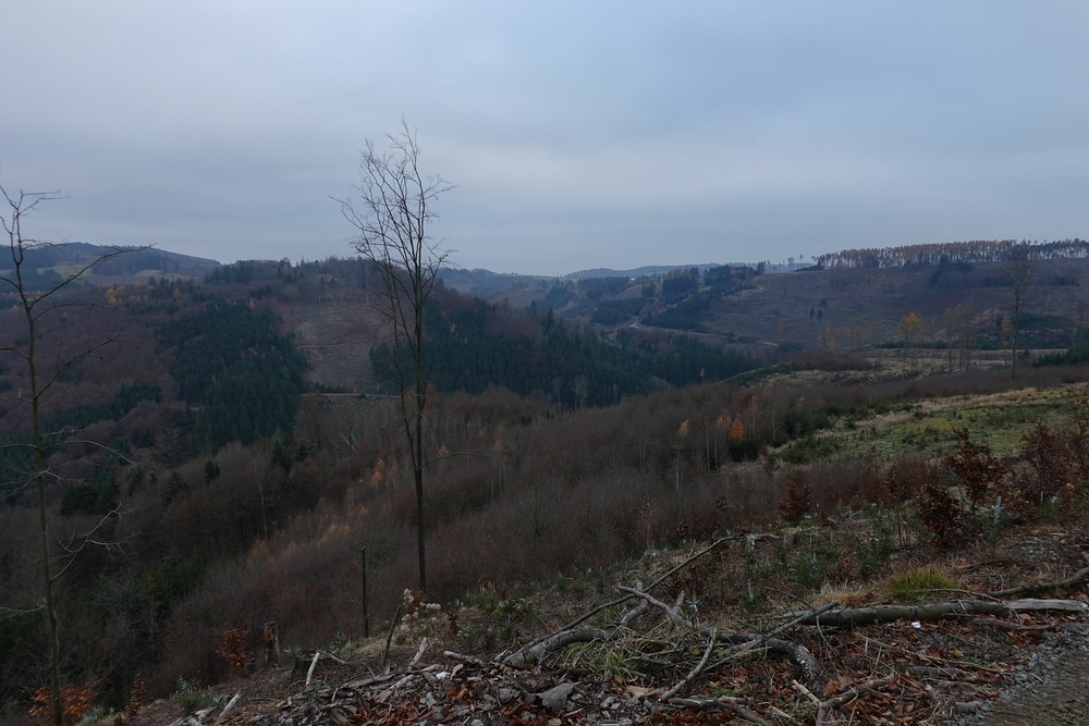 Výhledy do údolí Bystřice