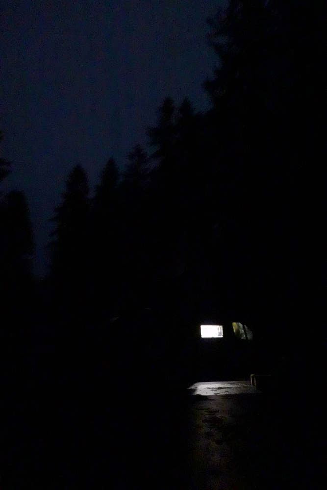 Sami hluboko v lesích