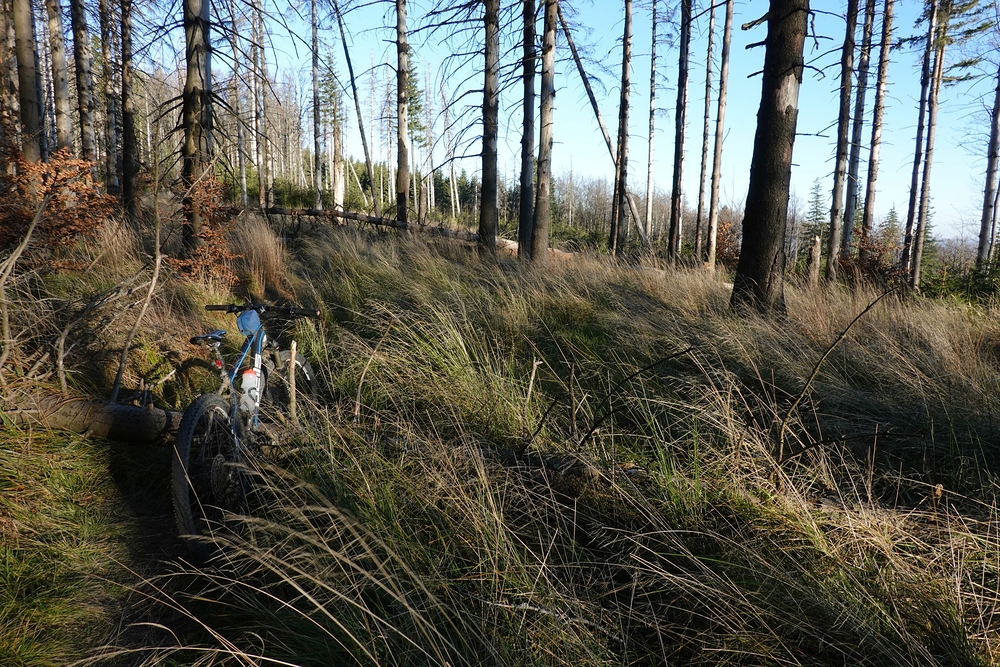 Cestou necestou na vrchol Ostrého