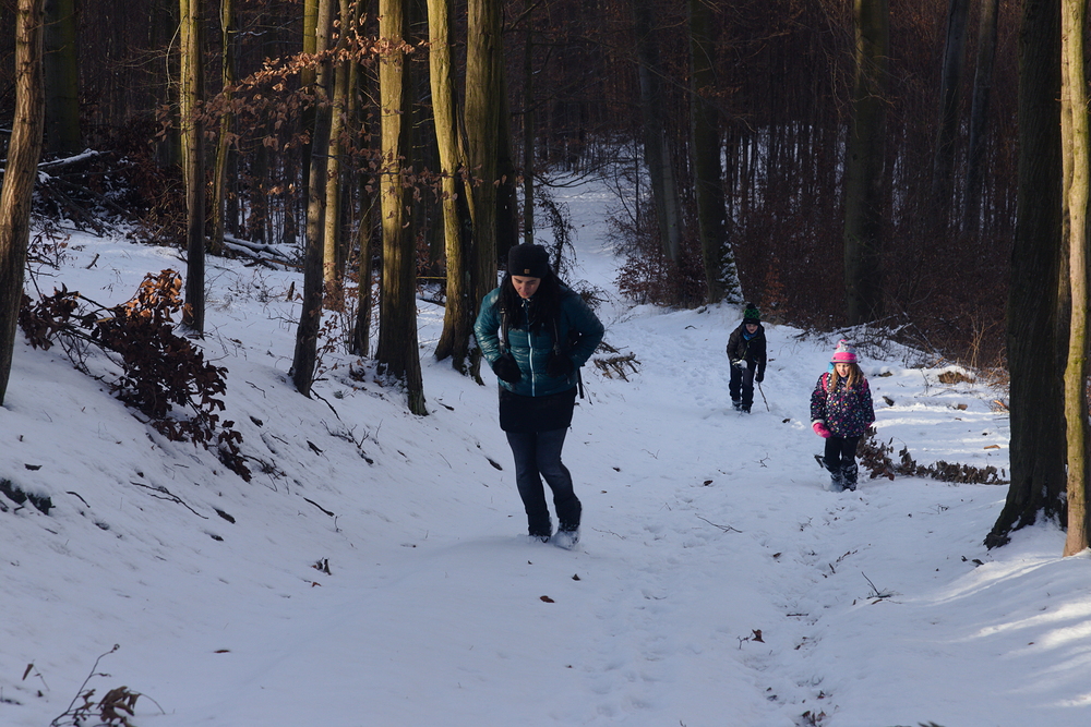 Do kopce, hledáme červenou značku