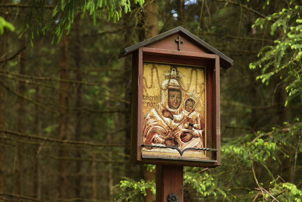 Nad rozc. Horní Orlice