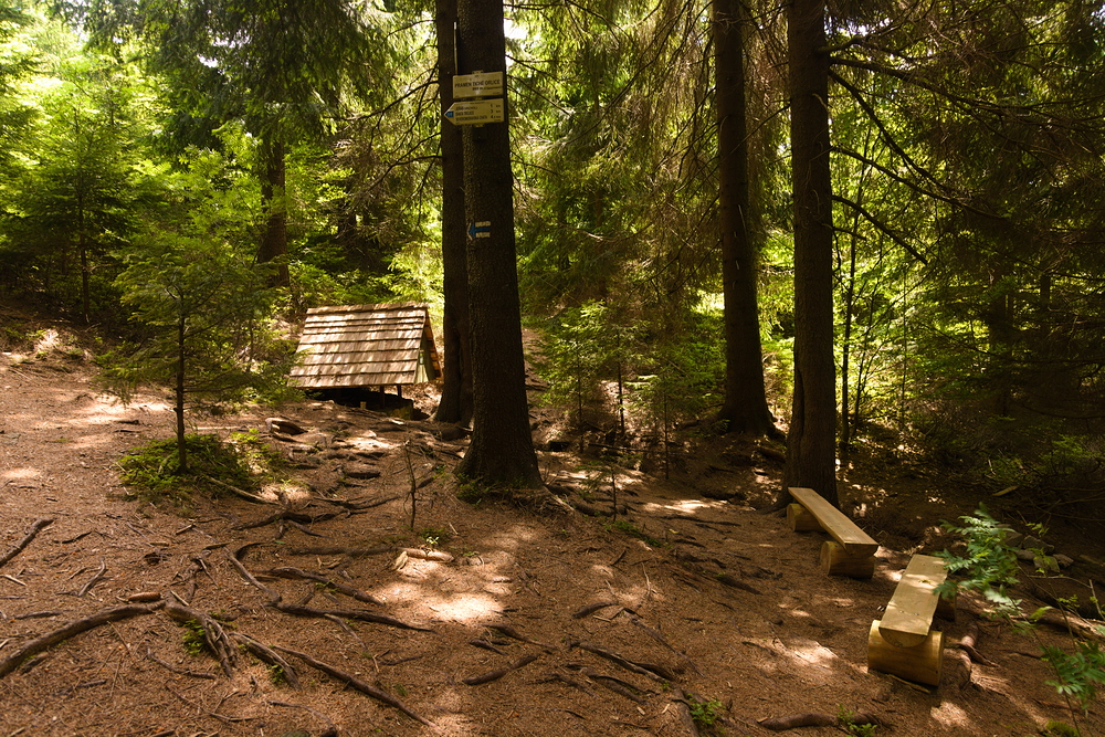 Pod pramenem Tiché Orlice