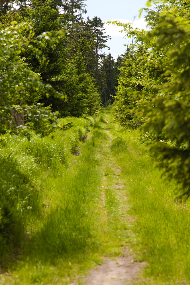 Po hřebeni ke Sv. Trojici