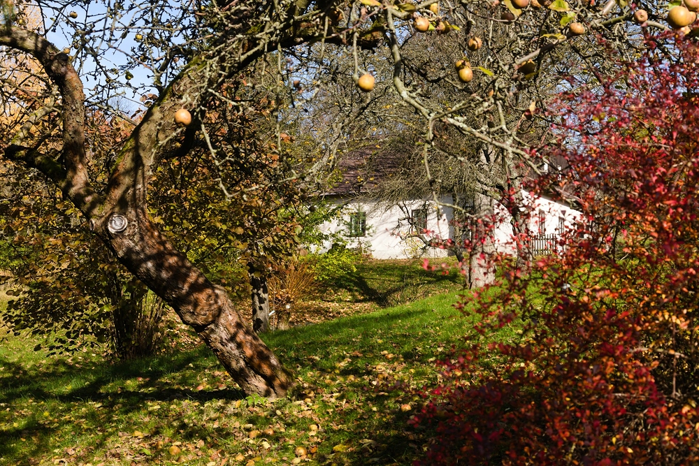 Chalupy na Vysočině