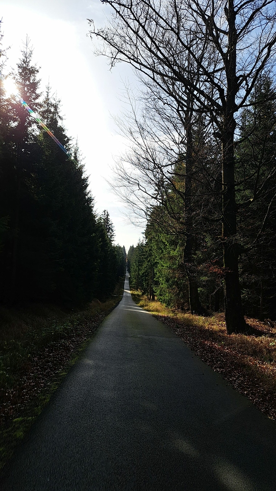 Tyhle nekonečné rovinky si na kole užívám