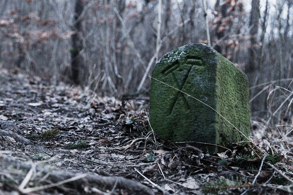 Třinec Jahodná, v lese