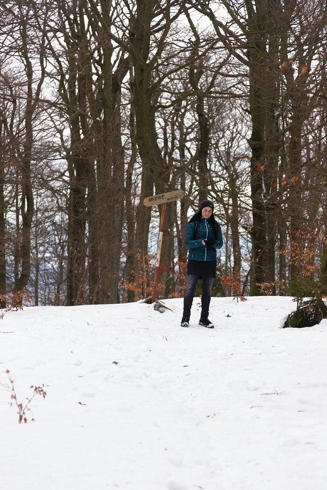 Maky na vrcholu Ostrého