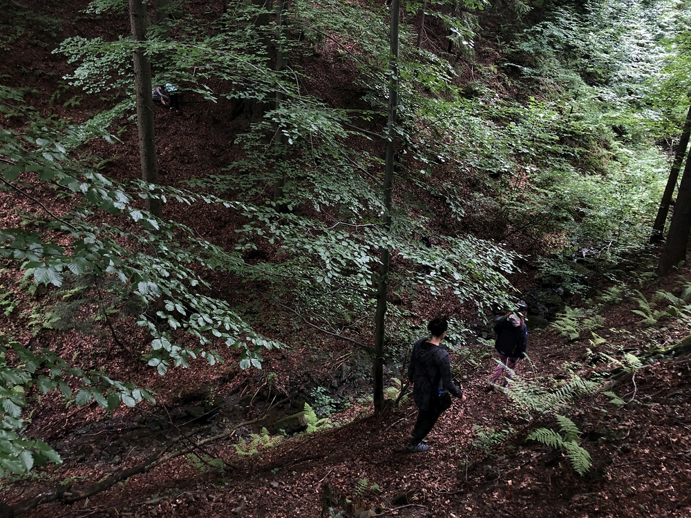 Na houby přes rokli