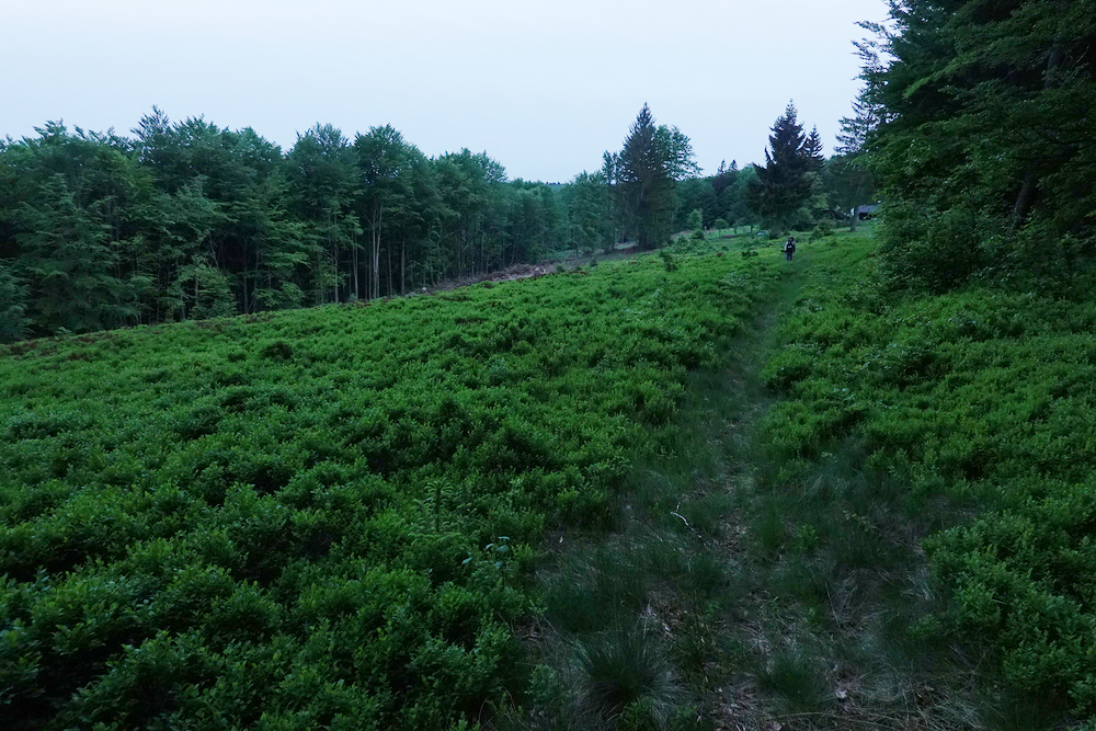 Výprava na sousední louku