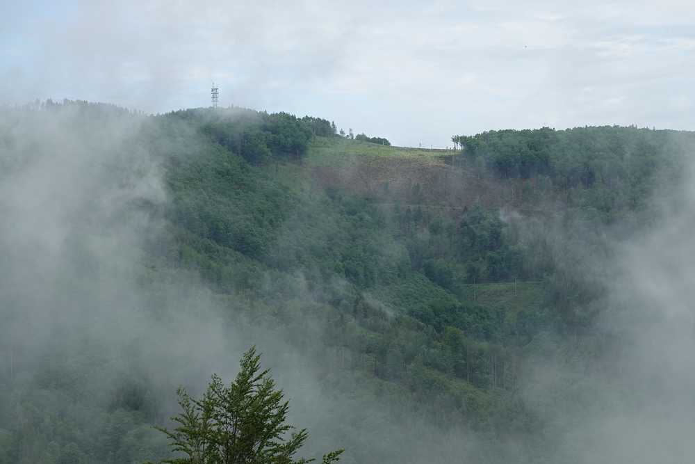 Výhled z auta na sousední Javorový