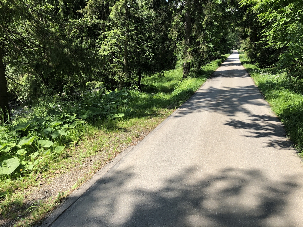 Krasna silnicka z Istebne do Bukovce