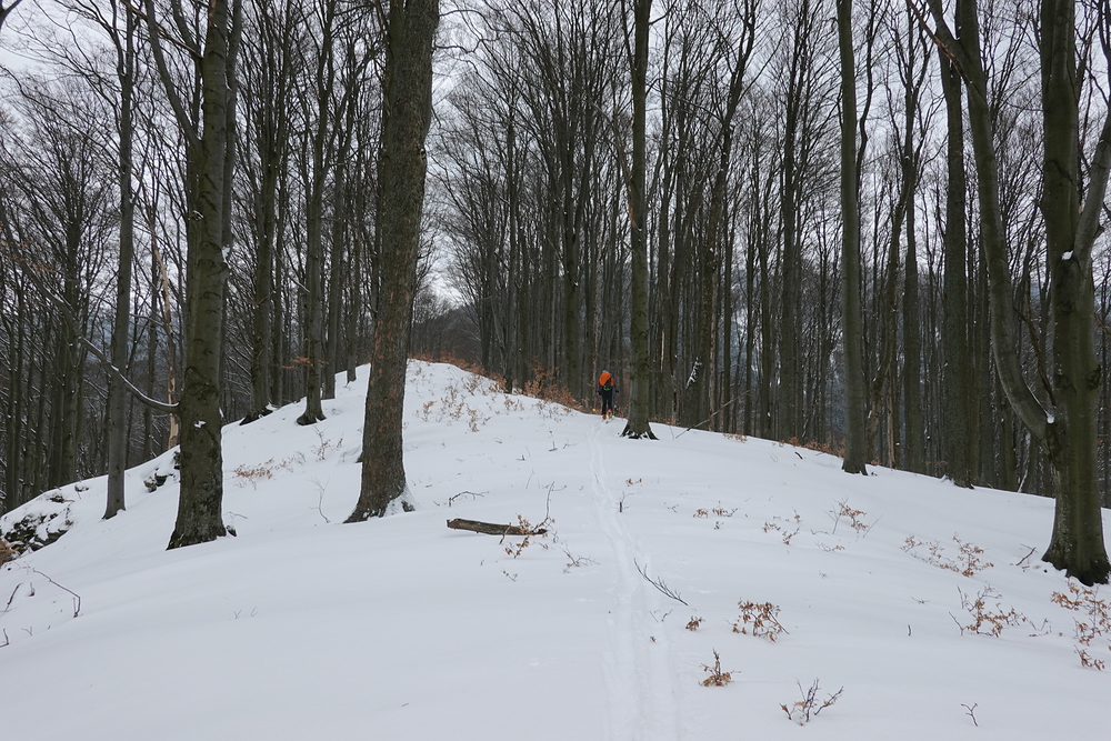 Hřeben Špičáku, vzadu Břidličná hora