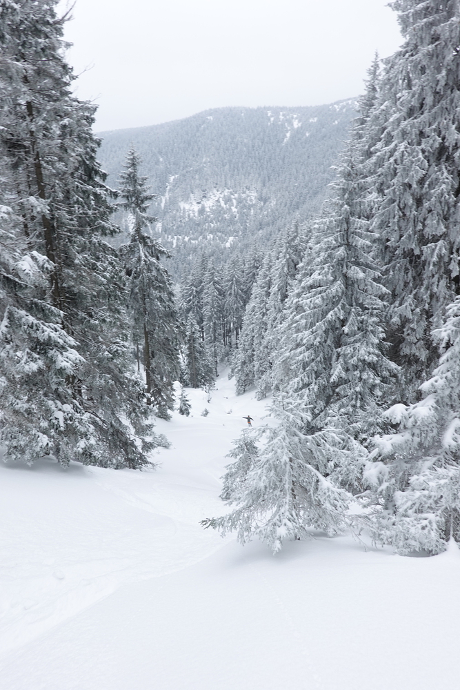 Klepáčský potok pode mnou
