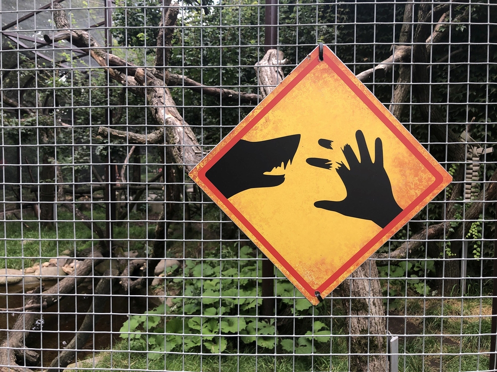 Safari Dvůr Králové