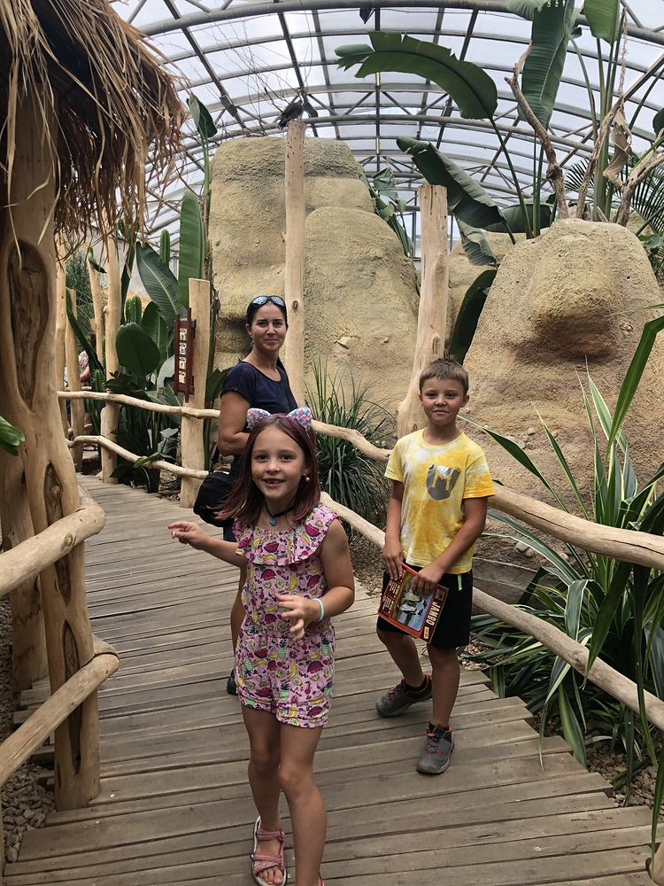 Safari Dvůr Králové