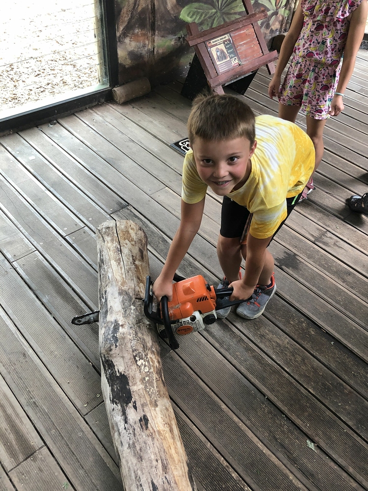 Safari Dvůr Králové