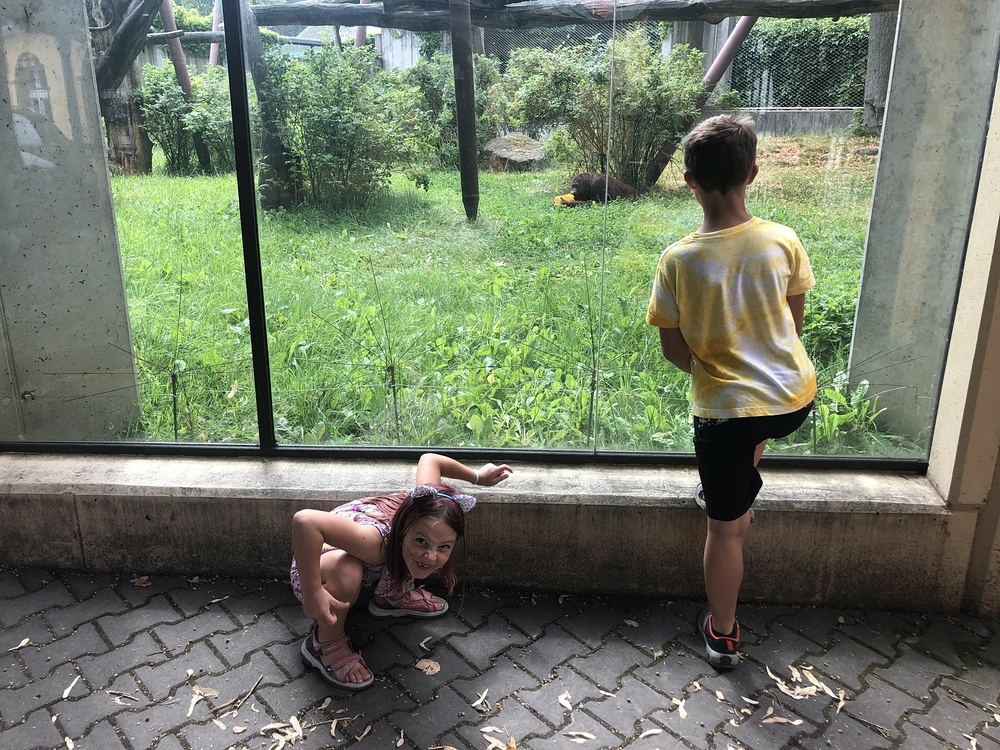 Safari Dvůr Králové