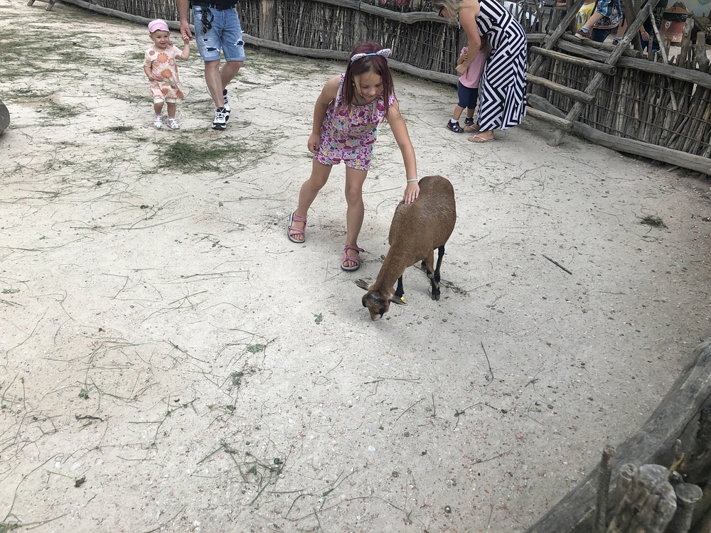 Safari Dvůr Králové