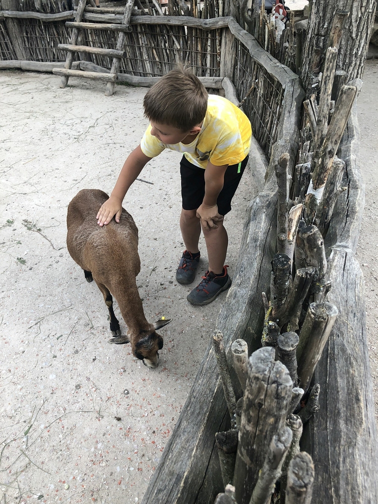Safari Dvůr Králové
