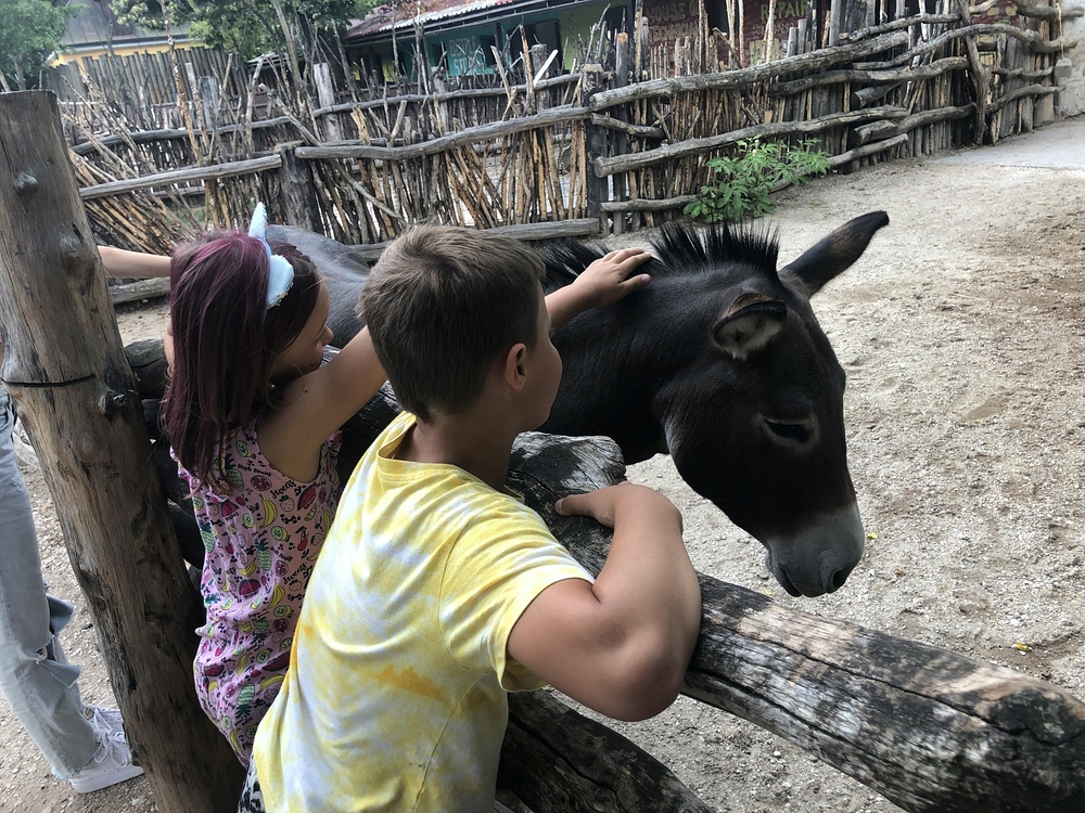 Safari Dvůr Králové