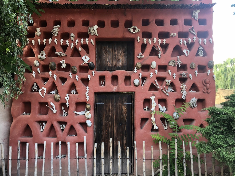 Safari Dvůr Králové