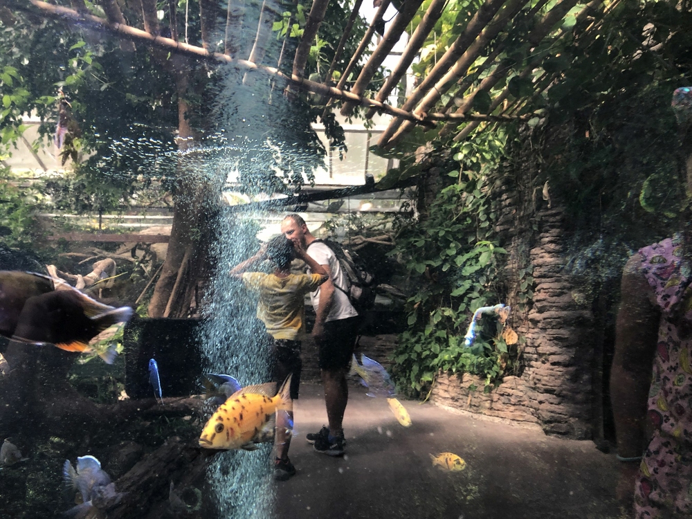 Safari Dvůr Králové