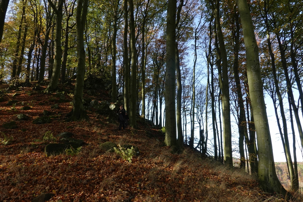 Rozštípená skála