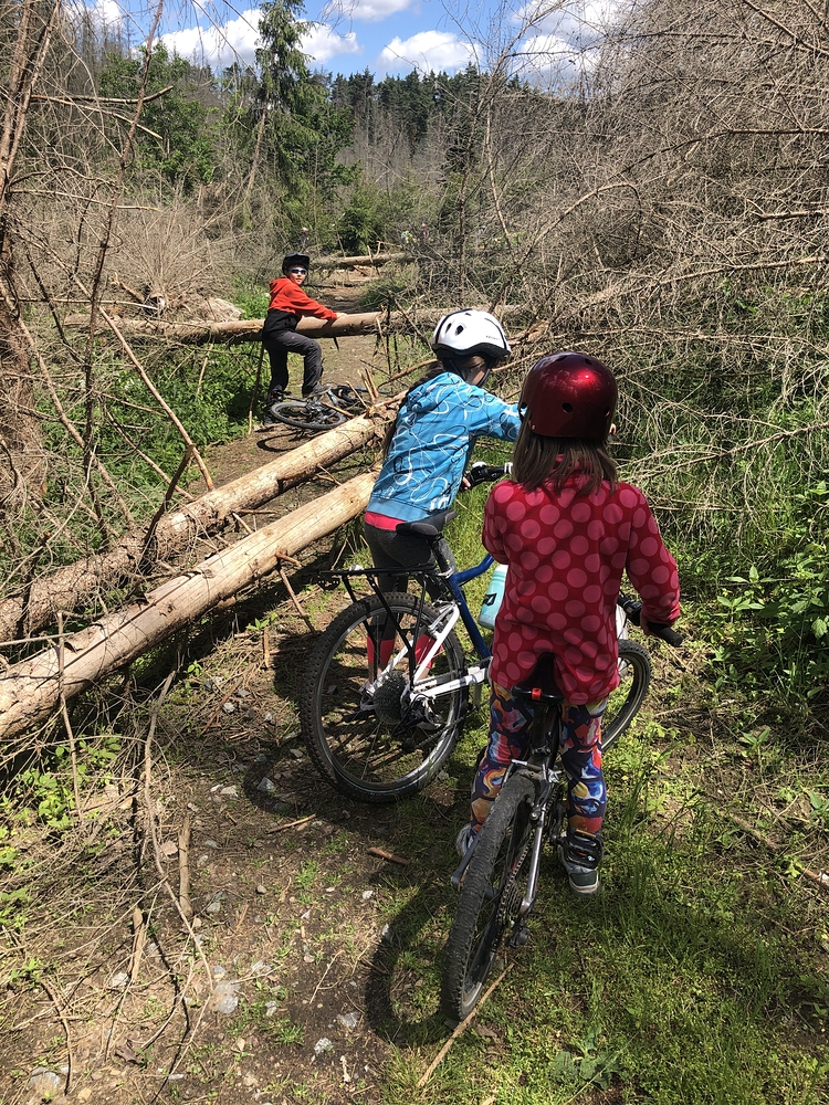 Dnes to nebylo zadarmo
