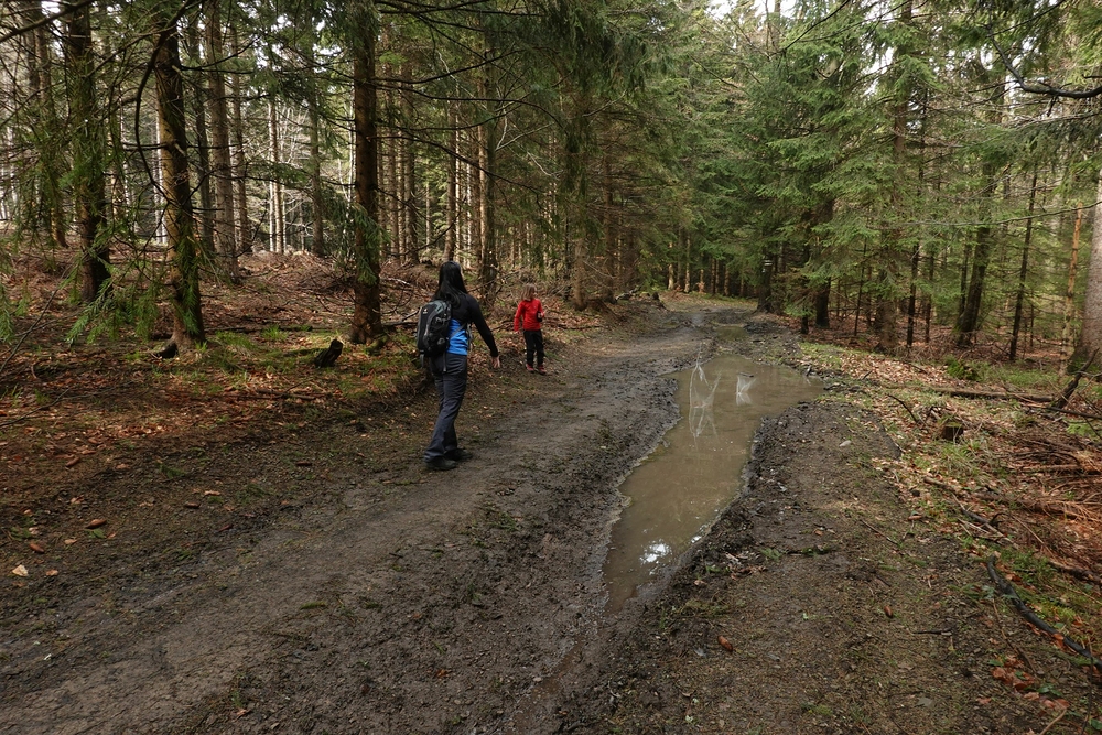 Dvě holky, dva kameny v kaluži