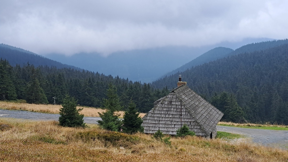 Česnekový důl ze Švýcárny