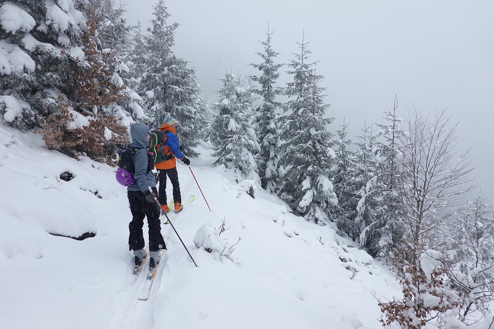 První výhledy nevýhledy