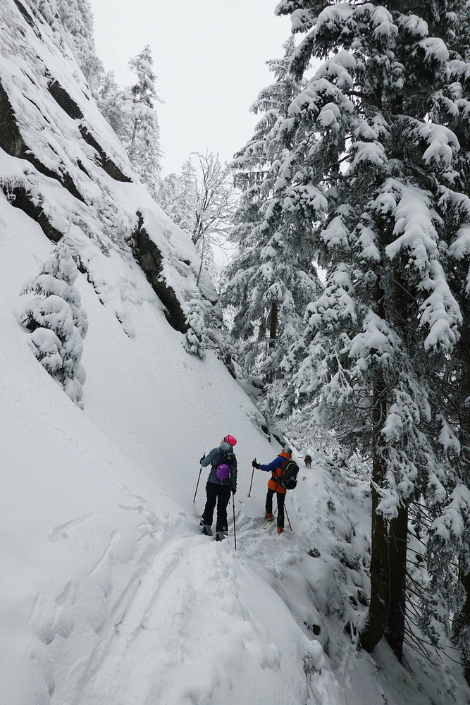 Příště berem lezení
