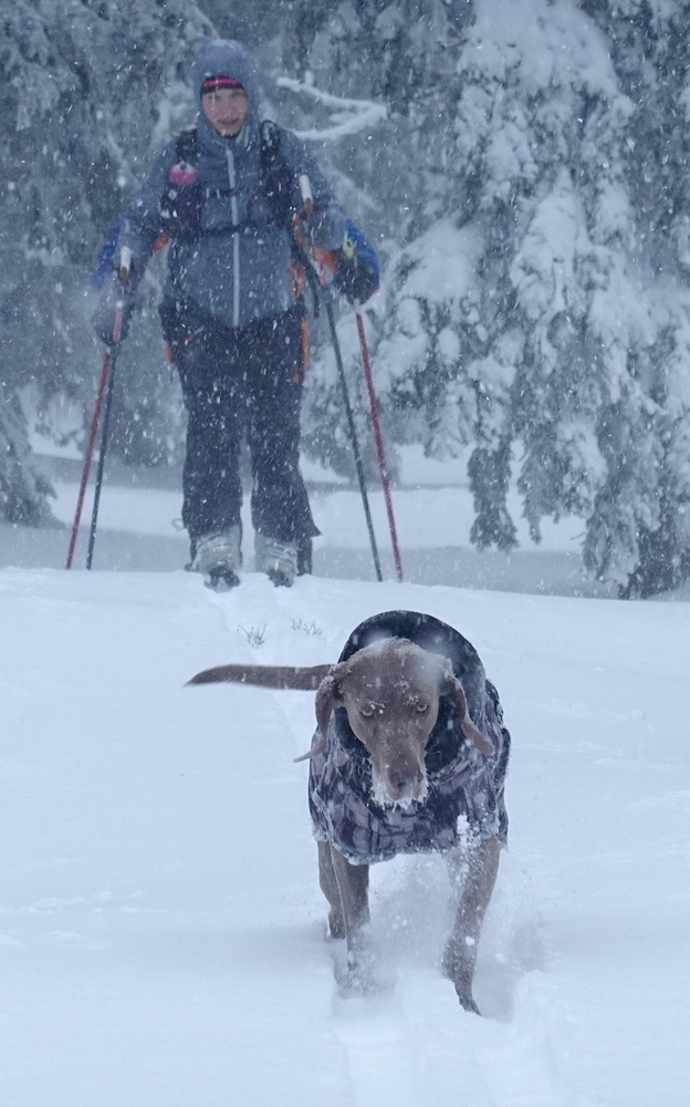 Muf dnes dostal hodně zabrat