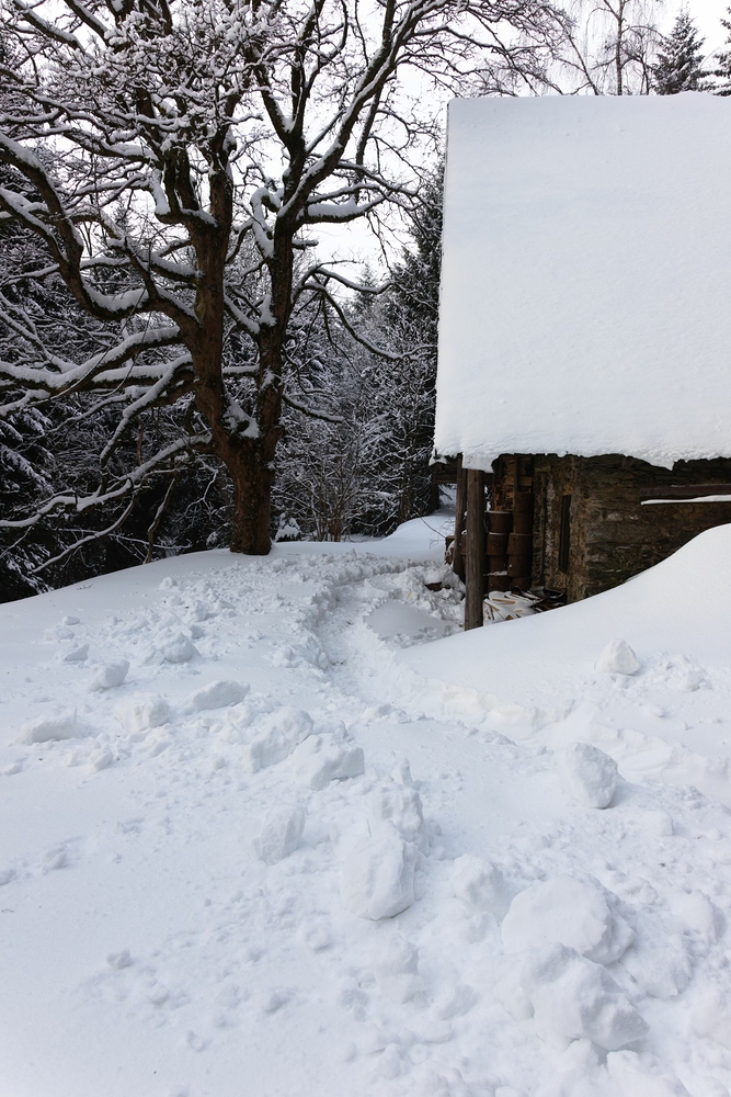 Probuzení na Božence