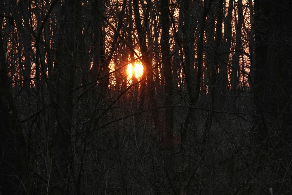 Těsně před západem