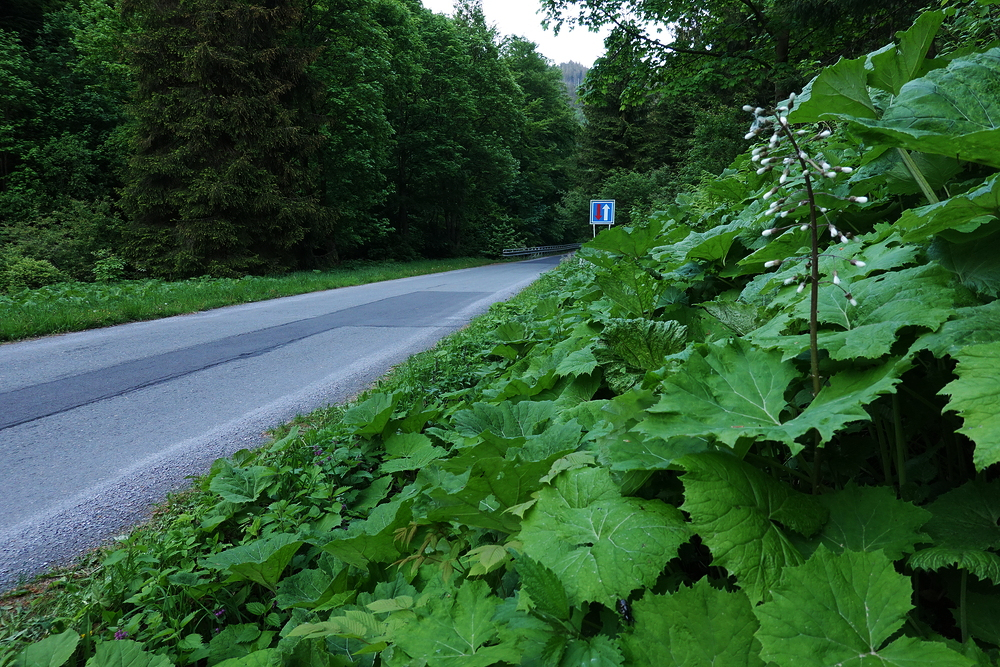 Důvěrně známá cesta k nádržím