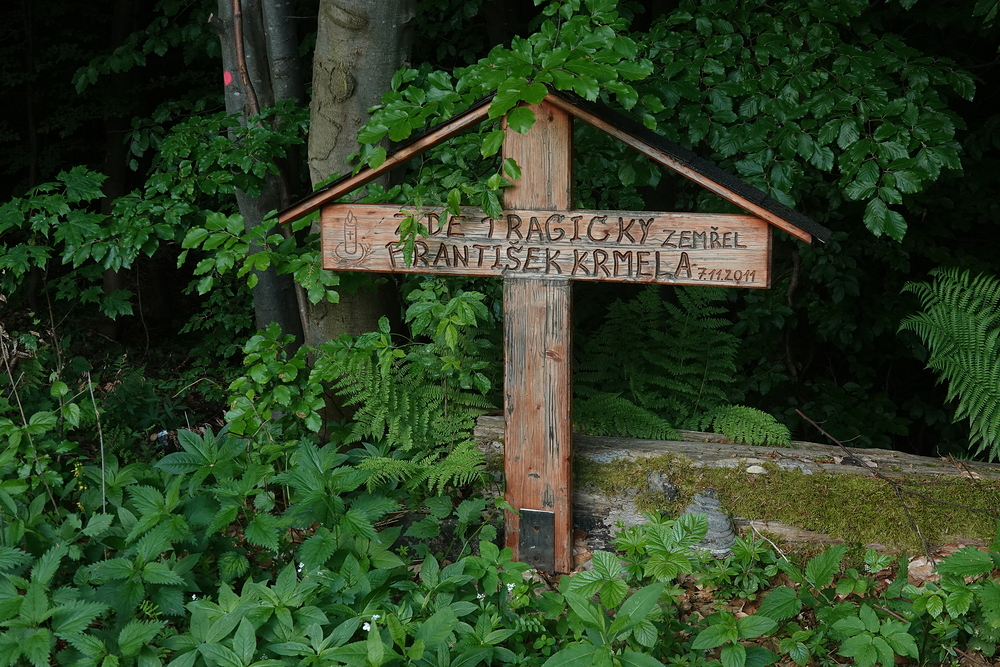 V lese mimo značené cesty